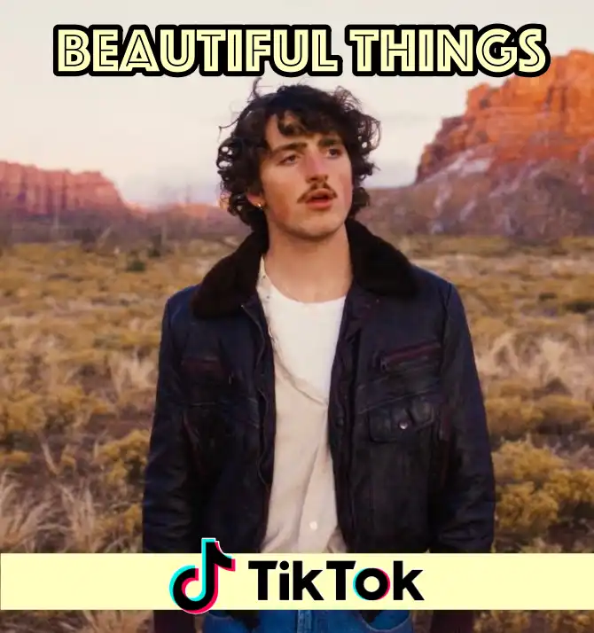 Trending Tiktok Songs, Beautiful Things 